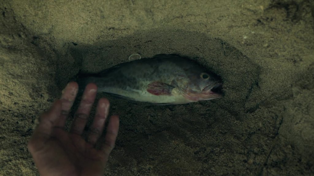 ZAKAR — Short Film